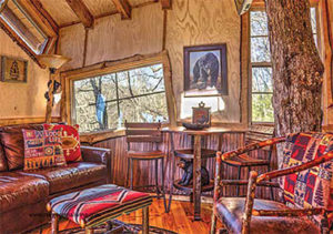 Inside view of treehouse with crooked windows