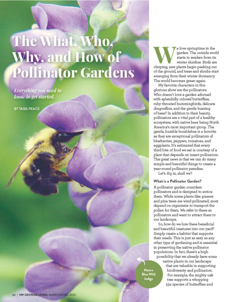 COVER STORY – Pollinator Gardens – Northwest Georgia Living